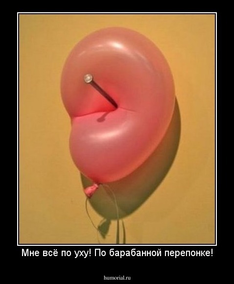 Мне всё по уху! По барабанной перепонке!