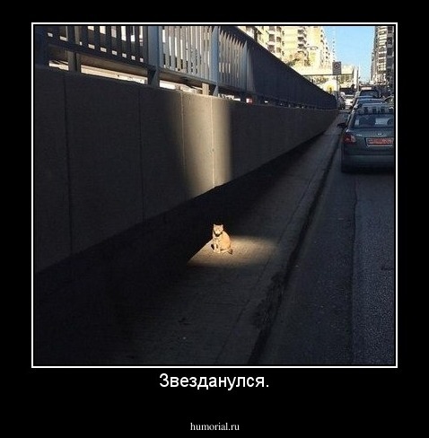 Звезданулся.