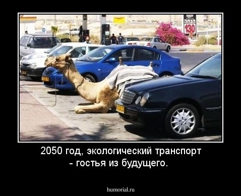 2050 год, экологический транспорт - гостья из будущего. 