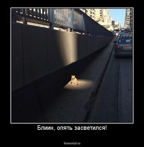 Блиин, опять засветился!