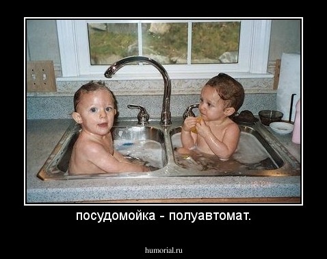 посудомойка - полуавтомат.