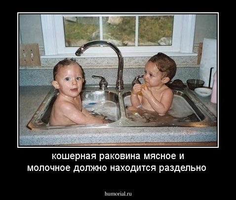 кошерная раковина  мясное и молочное должно находится раздельно