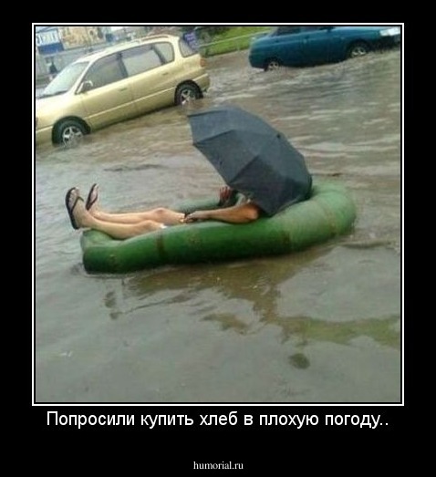 Попросили купить хлеб в плохую погоду..