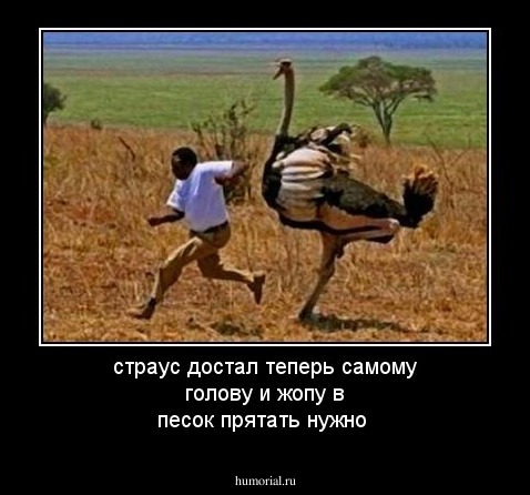 страус достал теперь самому голову и жопу в песок прятать нужно 