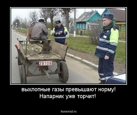 выхлопные газы превышают норму! Напарник уже торчит!