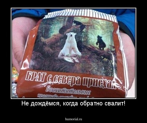 Не дождёмся, когда обратно свалит!