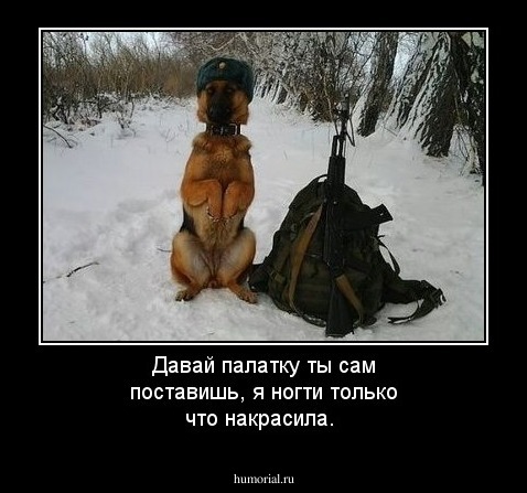 Давай палатку ты сам поставишь, я ногти только что накрасила.
