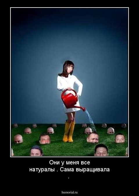 Они у меня все  натуралы . Сама выращивала .