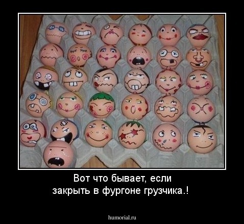Вот что бывает, если закрыть в фургоне грузчика.!