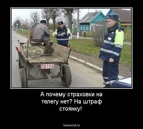 А почему страховки на телегу нет? На штраф стоянку!