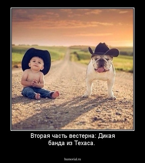 Вторая часть вестерна: Дикая банда из Техаса.