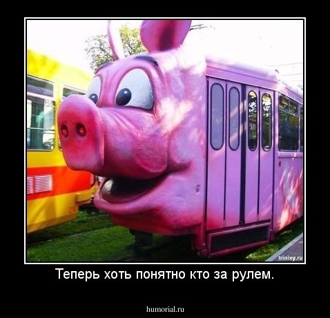 Теперь хоть понятно кто за рулем.