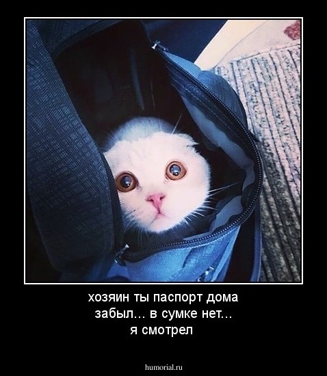 хозяин ты паспорт дома забыл... в сумке нет... я смотрел