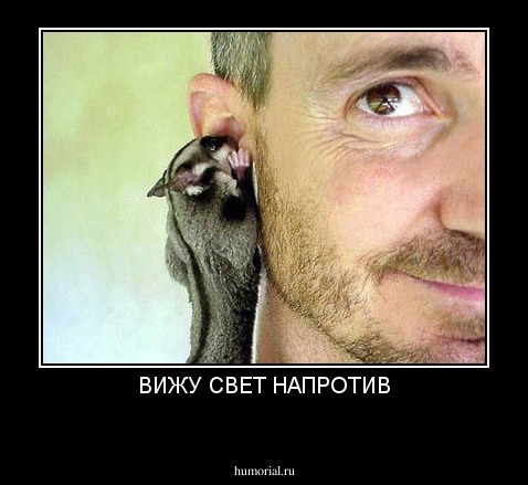 ВИЖУ СВЕТ НАПРОТИВ
