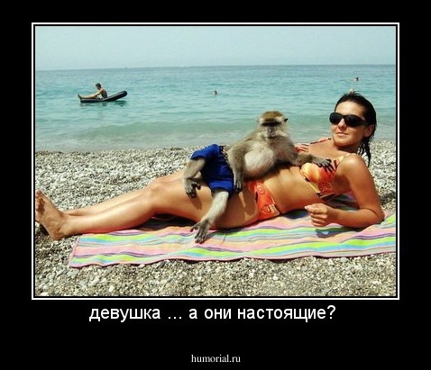 девушка ... а они настоящие? 