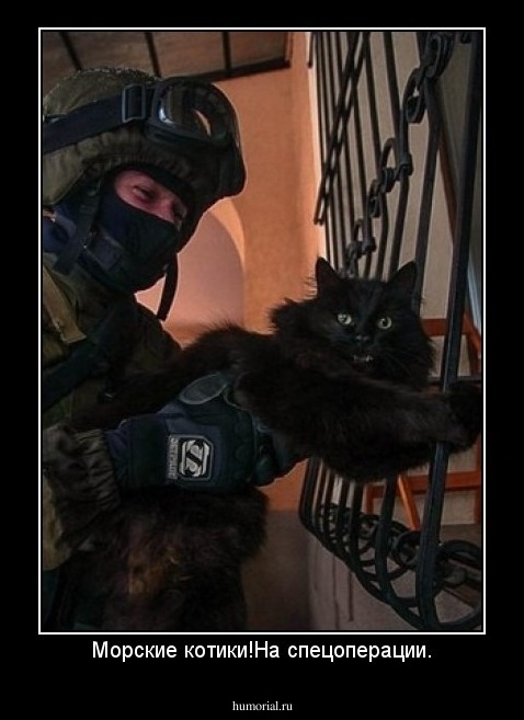 Морские котики!На спецоперации.