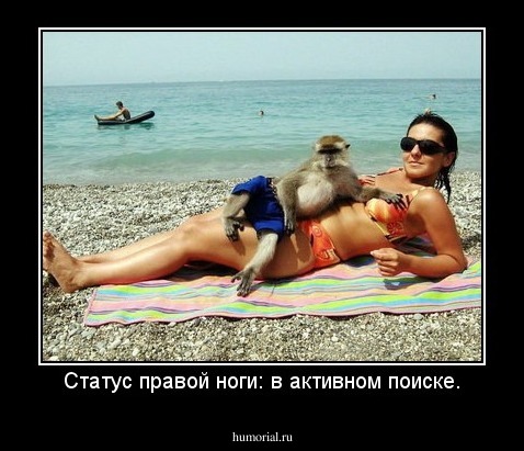 Статус правой ноги: в активном поиске.