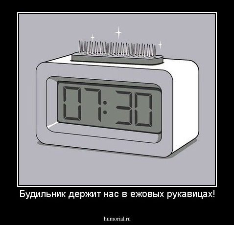 Будильник держит нас в ежовых рукавицах!