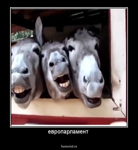 европарламент 