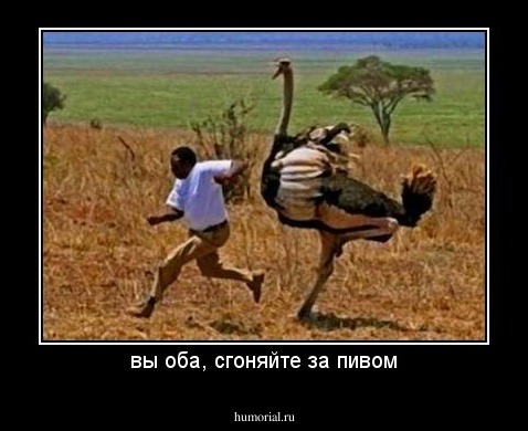 вы оба, сгоняйте за пивом