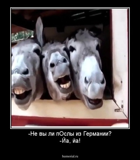 -Не вы ли пОслы из Германии?
-Йа, йа!