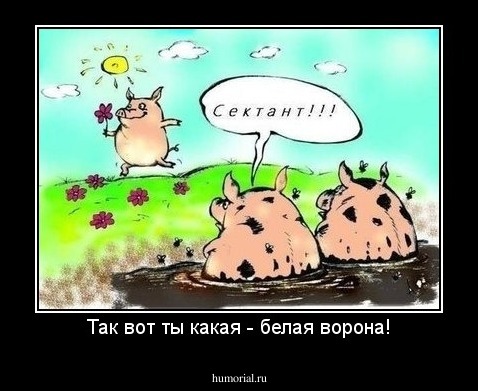 Так вот ты какая - белая ворона!