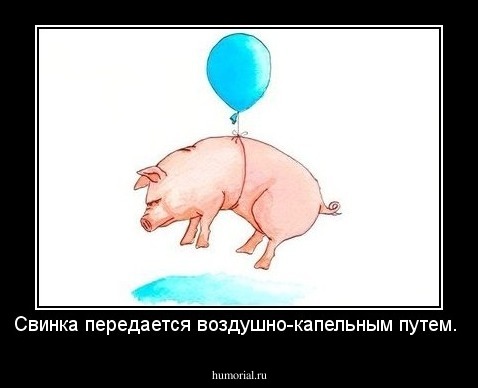 Свинка передается воздушно-капельным путем.