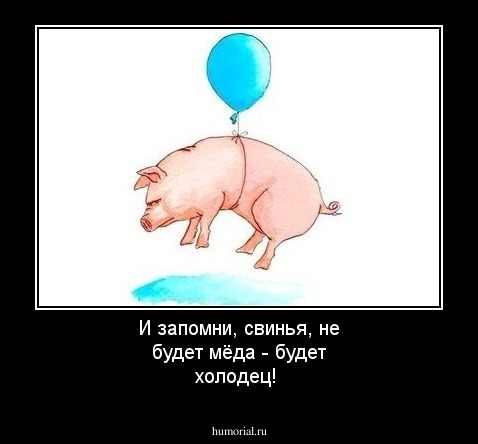 И запомни, свинья, не будет мёда - будет холодец!