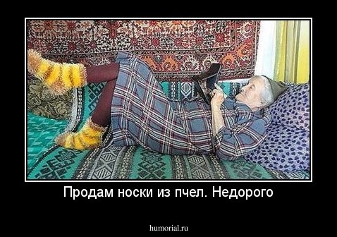 Продам носки из пчел. Недорого