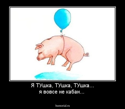 Я ТУшка, ТУшка, ТУшка... я вовсе не кабан...