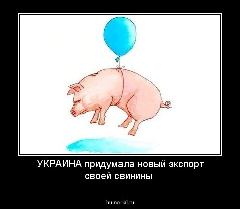 УКРАИНА  придумала новый экспорт своей свинины