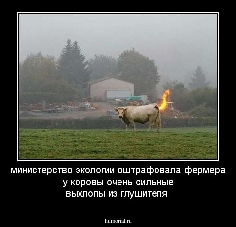 министерство экологии оштрафовала фермера у коровы очень сильные выхлопы из глушителя