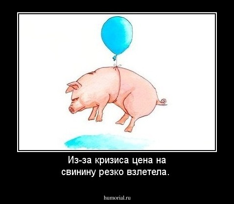 Из-за кризиса цена на свинину резко взлетела.