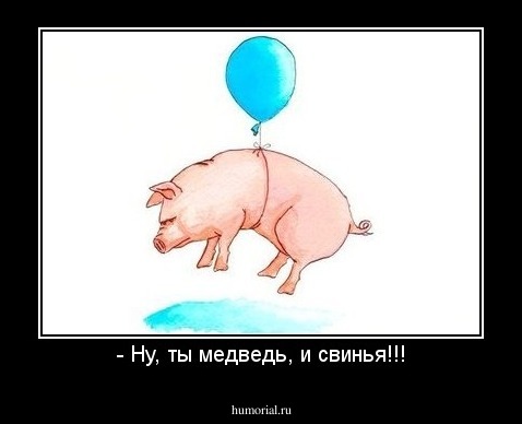 - Ну, ты медведь, и свинья!!!