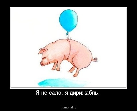 Я не сало, я дирижабль. 