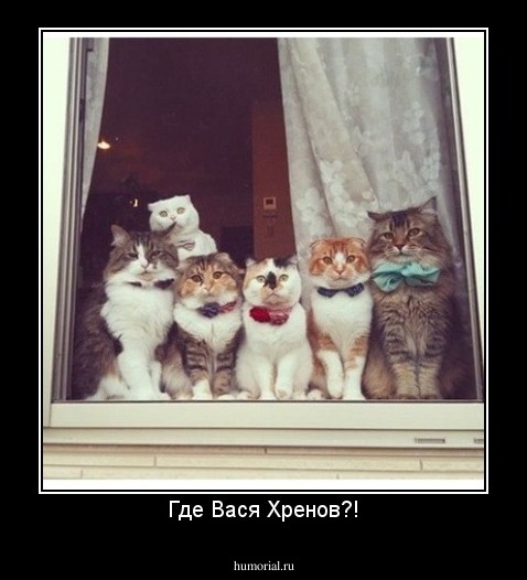 Где Вася Хренов?!