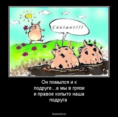 Он помылся и к подруге...а мы в грязи и правое копыто наша подруга