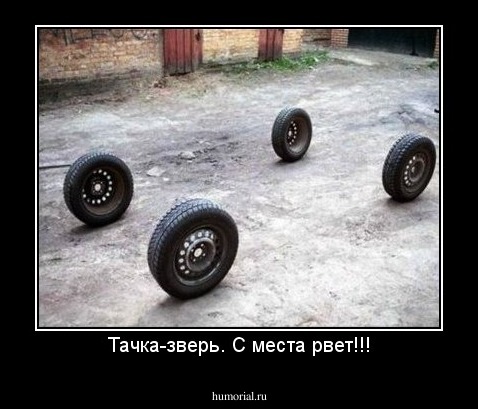 Тачка-зверь. С места рвет!!!