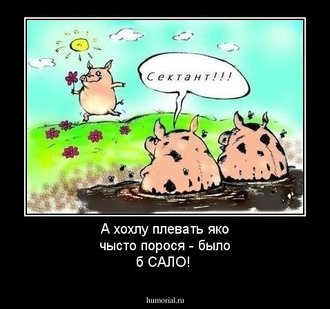 А хохлу плевать яко чысто порося - было б САЛО!