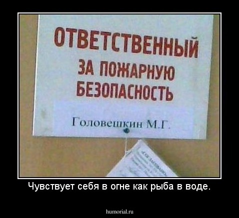 Чувствует себя в огне как рыба в воде.