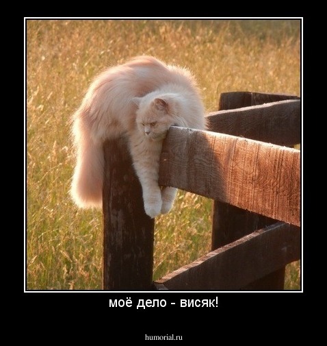 моё дело - висяк!