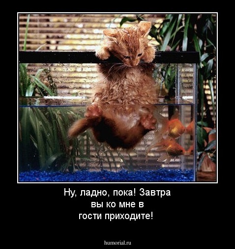 Ну, ладно, пока! Завтра вы ко мне в гости приходите! 
