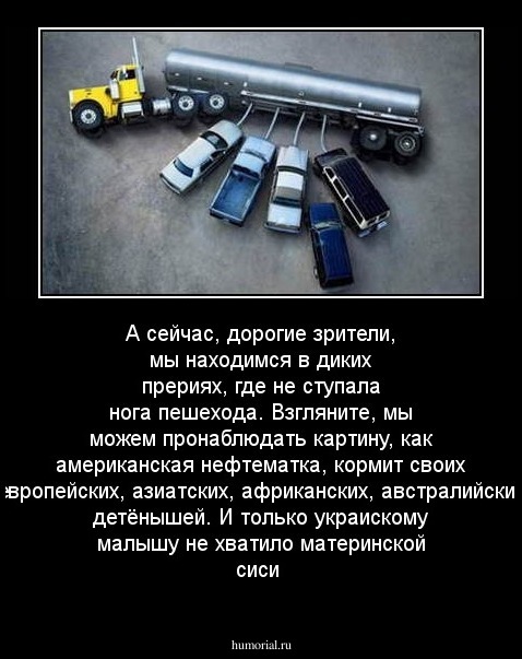 А сейчас, дорогие зрители, мы находимся в диких прериях, где не ступала нога пешехода. Взгляните, мы можем пронаблюдать картину, как американская нефтематка, кормит своих европейских, азиатских, африканских, австралийских детёнышей. И только украискому ма