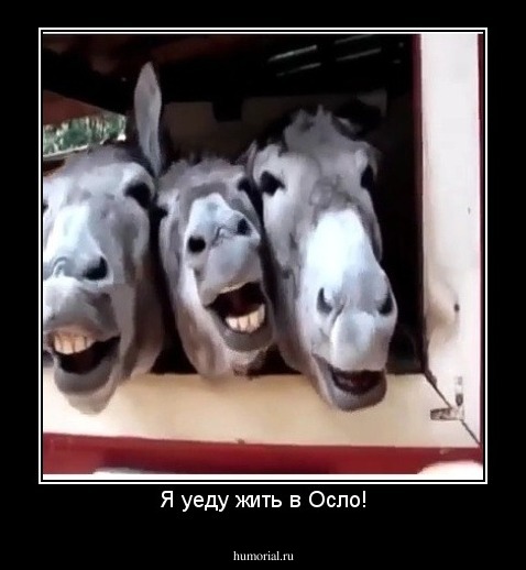 Я уеду жить в Осло!
