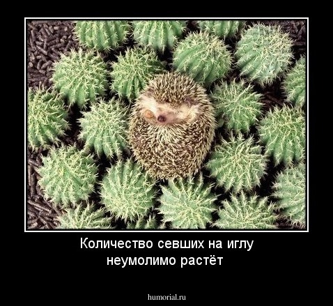 Количество севших на иглу неумолимо растёт