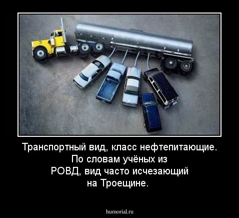 Транспортный вид, класс нефтепитающие. По словам учёных из РОВД, вид часто исчезающий на Троещине.