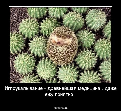 Иглоукалывание - древнейшая медицина...даже ежу понятно!