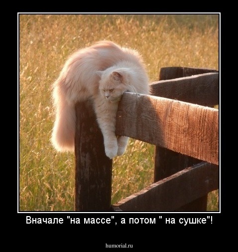 Вначале "на массе", а потом " на сушке"!