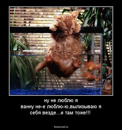 ну не люблю я ванну не-е 
люблю-ю,вылизываю я себя везде...и там тоже!!!