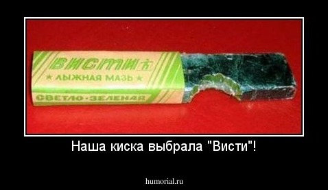 Наша киска выбрала "Висти"!